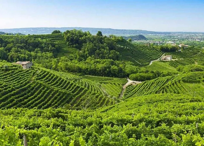 B&B Micasatucasa Oda ve Kahvaltı *